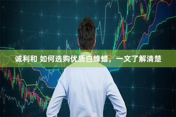 诚利和 如何选购优质白蜂蜡，一文了解清楚