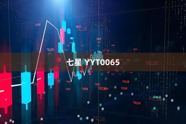 七星 YYT0065
