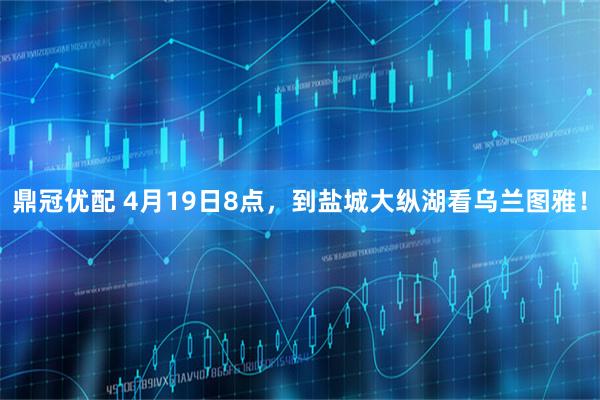鼎冠优配 4月19日8点，到盐城大纵湖看乌兰图雅！