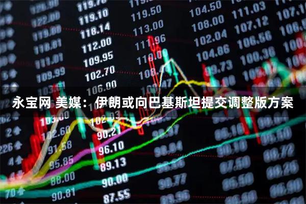 永宝网 美媒：伊朗或向巴基斯坦提交调整版方案